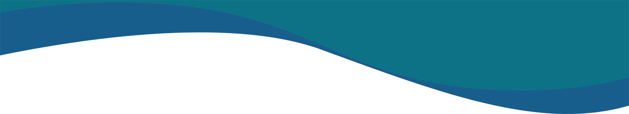 Services Curve Border